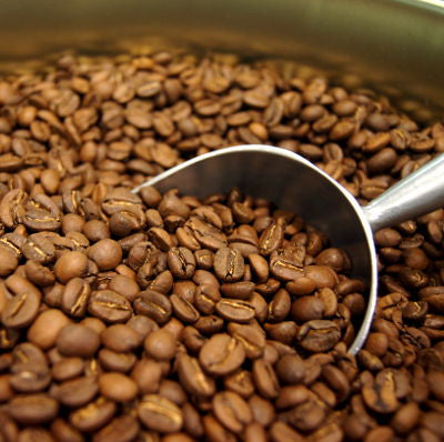From Bean to Cup: The Coffee Lover’s Guide