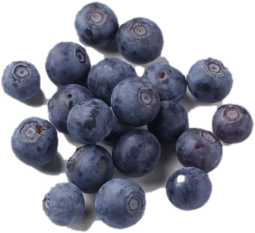 Raisins and berries
